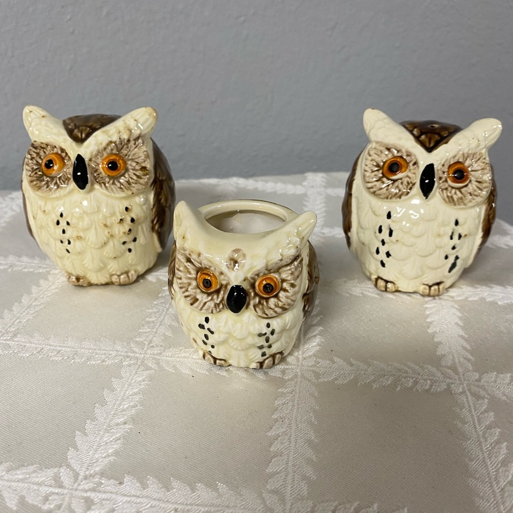 Family of 3 🦉 Owls Shaker Set & Toothpick Holder